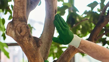 Commercial Services