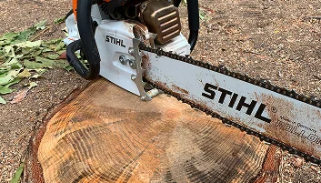 Tree Removal
