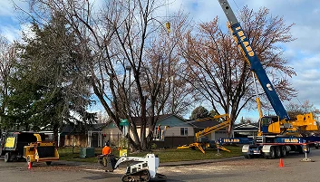 Residential Services