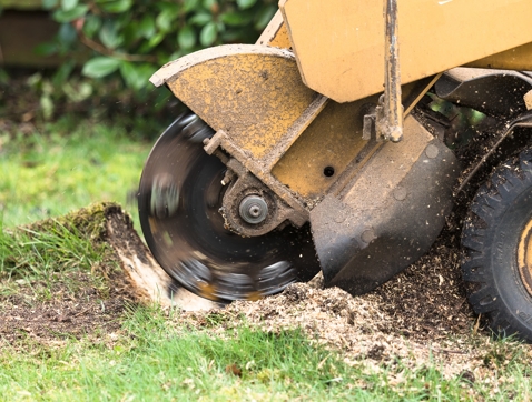 Stump Grinding Image