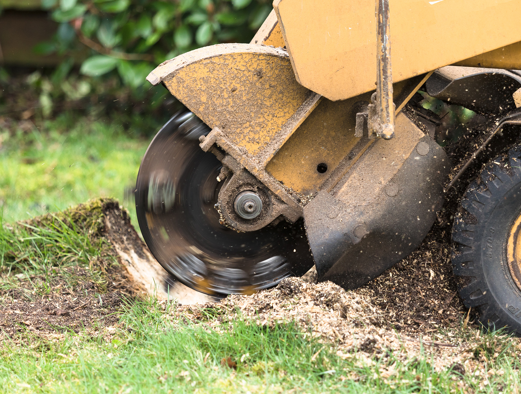 Stump Grinding
